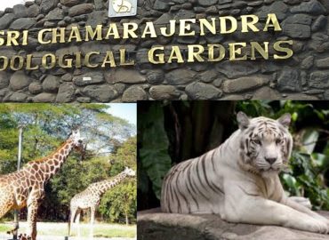 Sri Chamarajendra Zoological Gardens